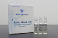 Nandrobolin 250 - Nandrolone Decanoate