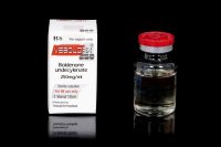 Veboldex 250 - Boldenone Undecylenate